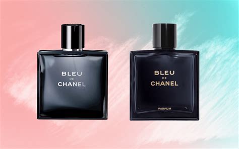 chanel 19 edt vs edp|chanel perfume for women.